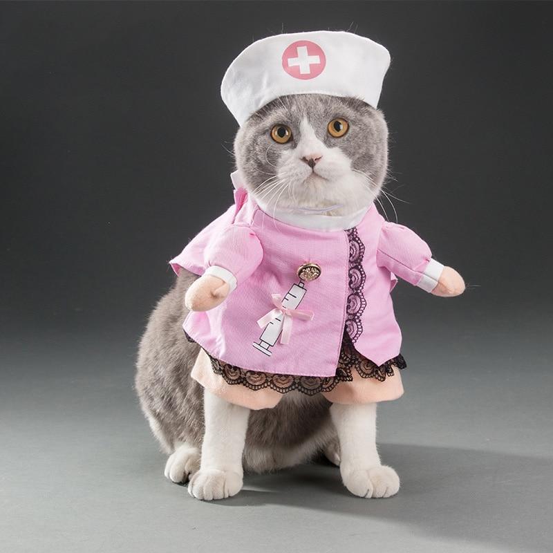 Funny Nurse Costumes For Dogs & Cats