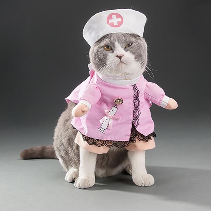 Funny Nurse Costumes For Dogs & Cats