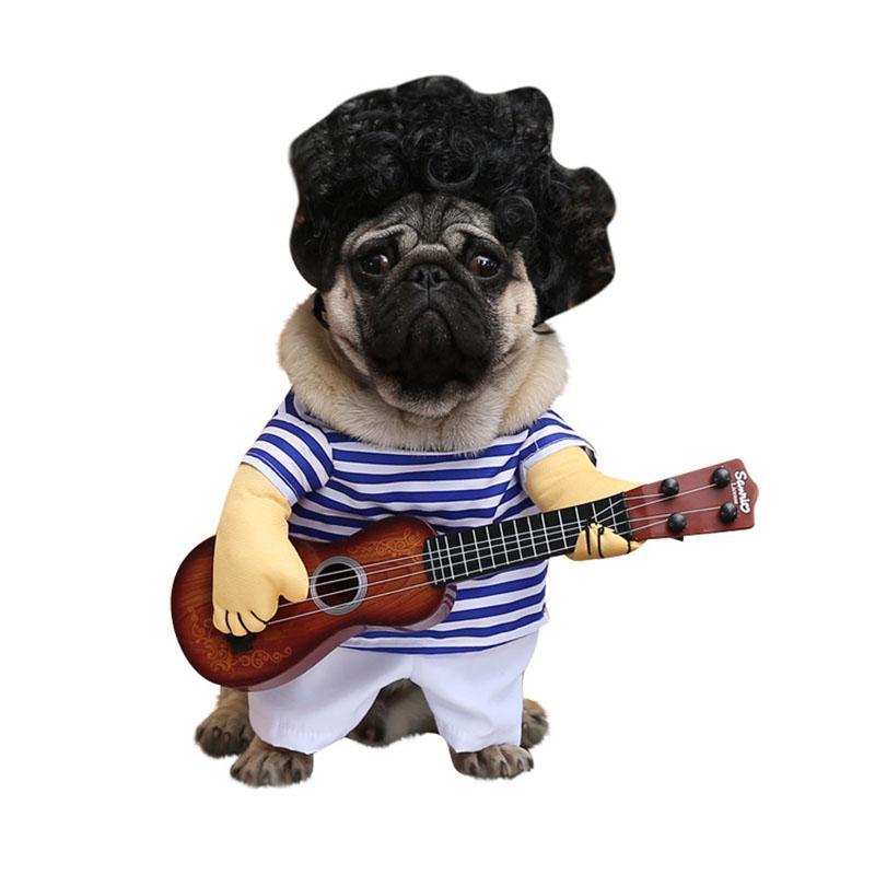 Funny Guitarist Costumes For Dogs & Cats