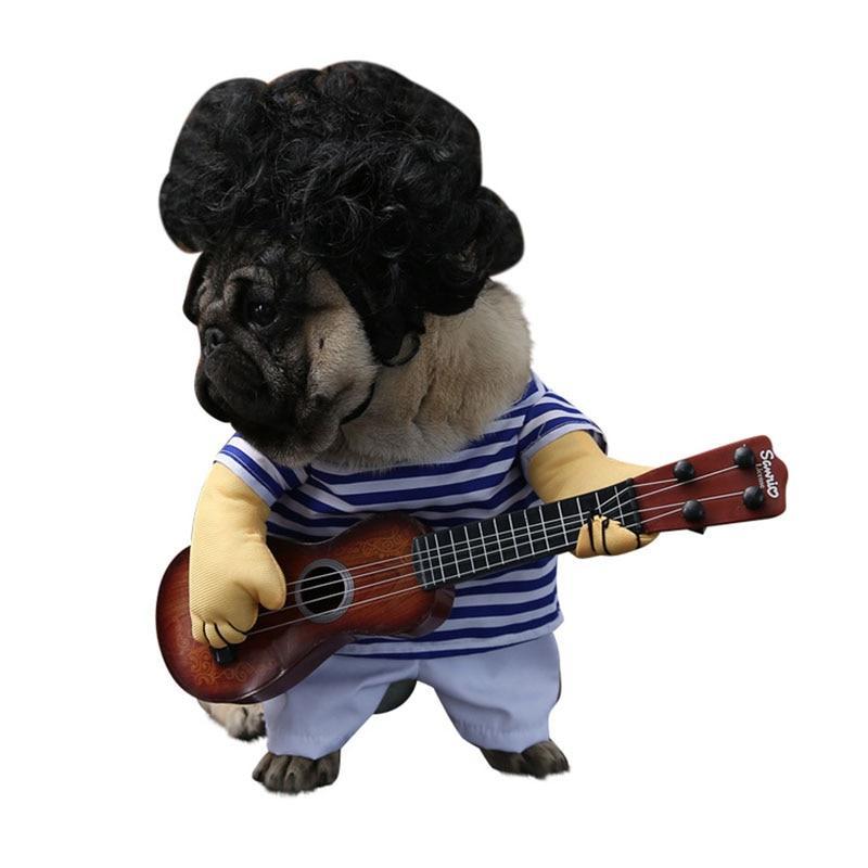 Funny Guitarist Costumes For Dogs & Cats