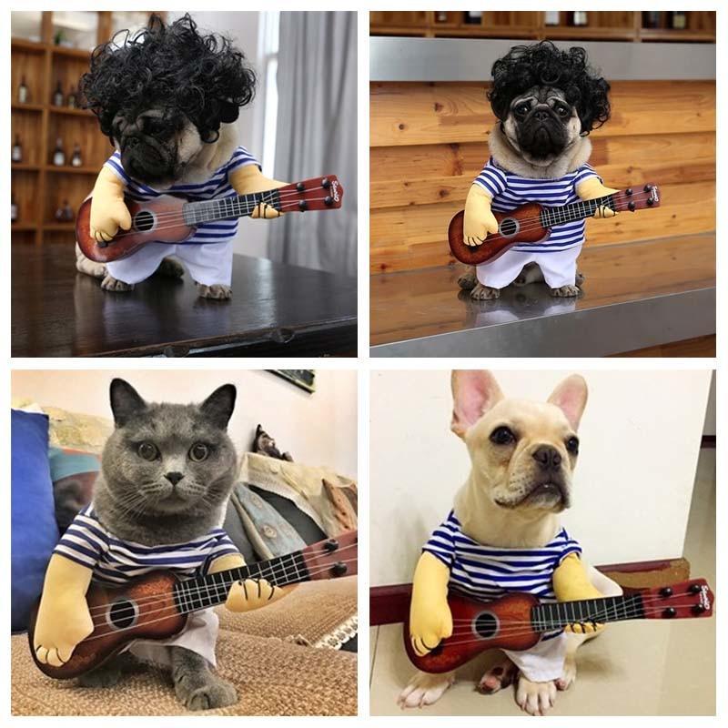 Funny Guitarist Costumes For Dogs & Cats