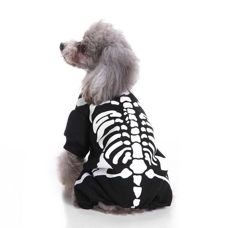 Halloween Skeleton Costumes for Dogs & Cats