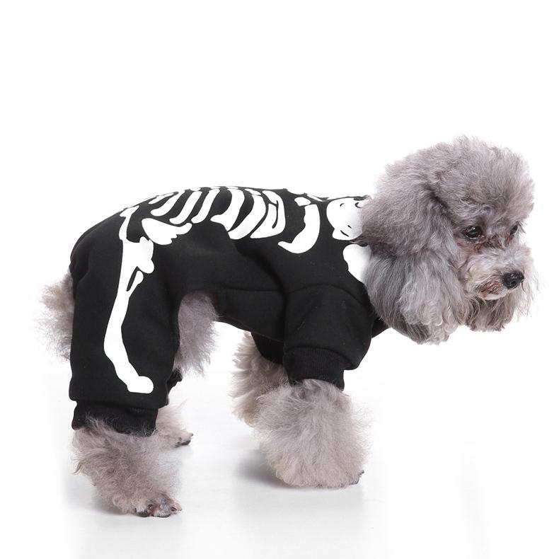 Halloween Skeleton Costumes for Dogs & Cats