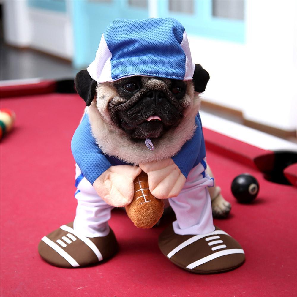 Funny Halloween American Football Costumes For Dogs & Cats