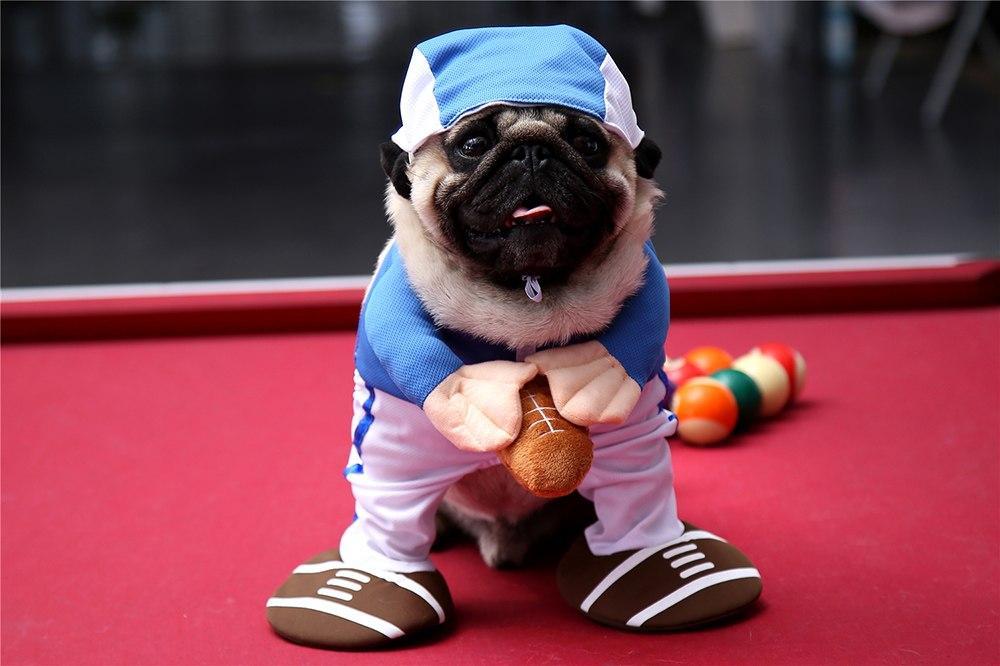 Funny Halloween American Football Costumes For Dogs & Cats