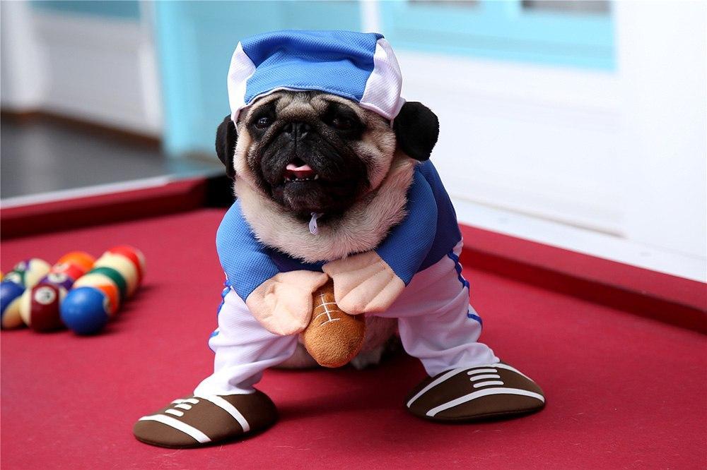 Funny Halloween American Football Costumes For Dogs & Cats
