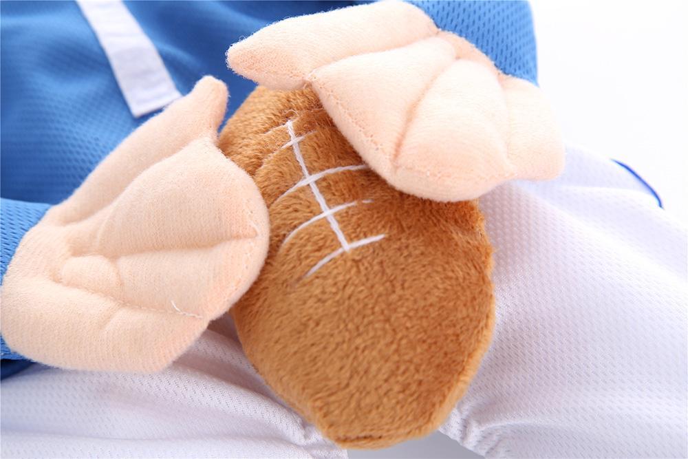 Funny Halloween American Football Costumes For Dogs & Cats