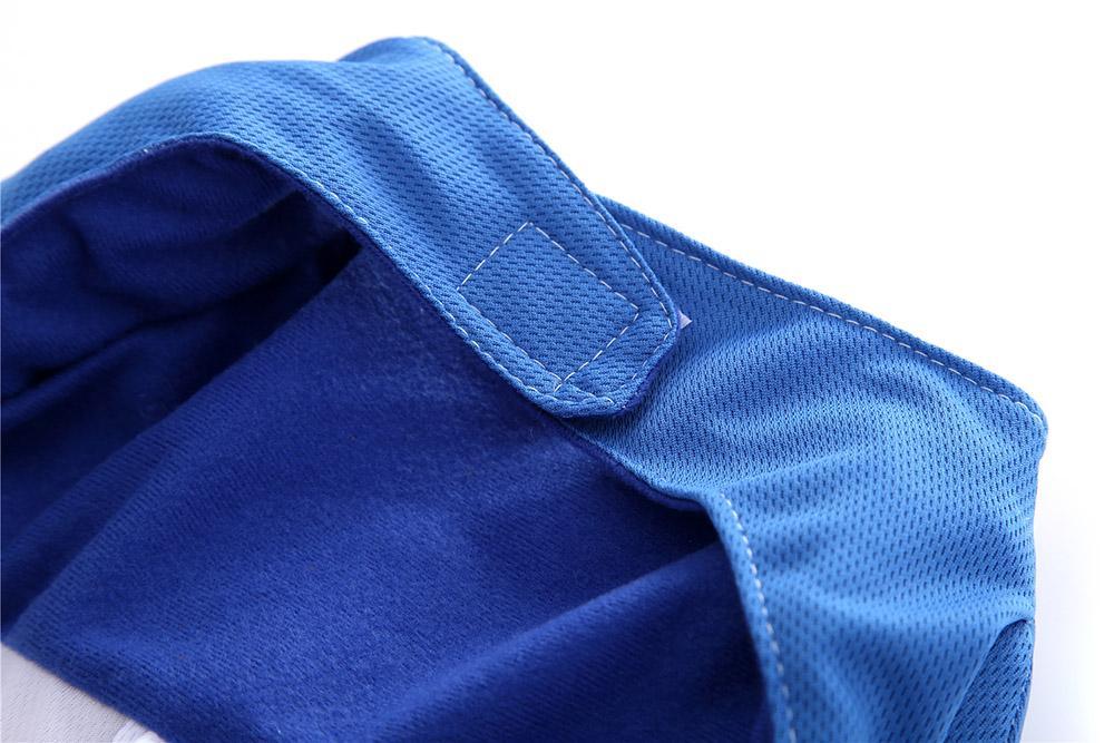 Funny Halloween American Football Costumes For Dogs & Cats